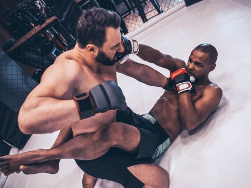 peak-performance-site-images_mixed-martial-arts-2